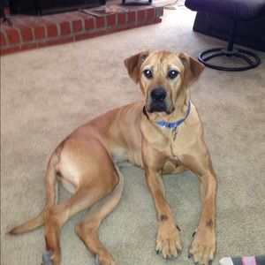 Meet your Posher, Kelly